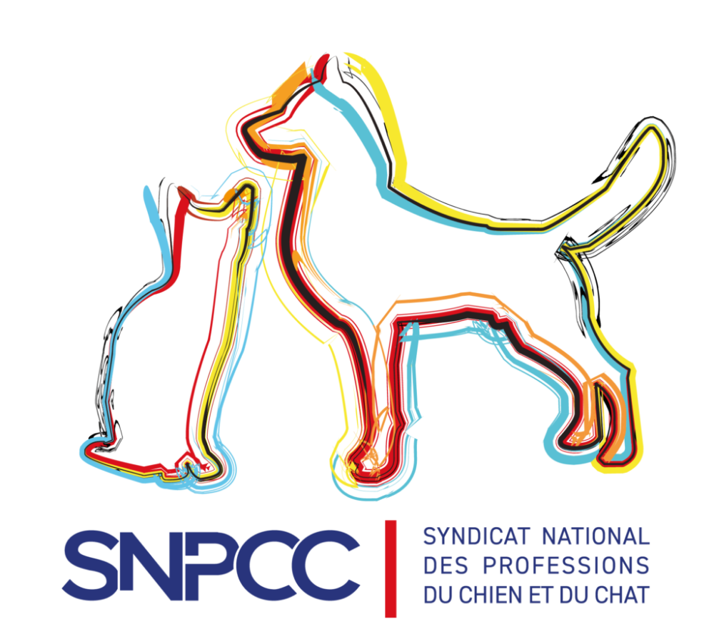 LOGO-SNPCC-2024_VECTO-min-1024x925 LOGO-SNPCC-2024_VECTO-min-1024x925