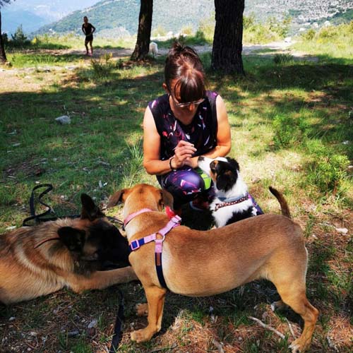 Hébergement de chiens Mougins
